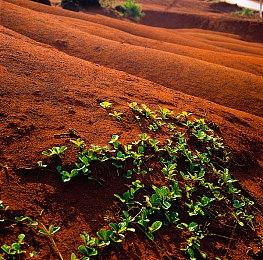 比起这家博物馆，《博物馆奇妙夜》还是拍的太收敛了